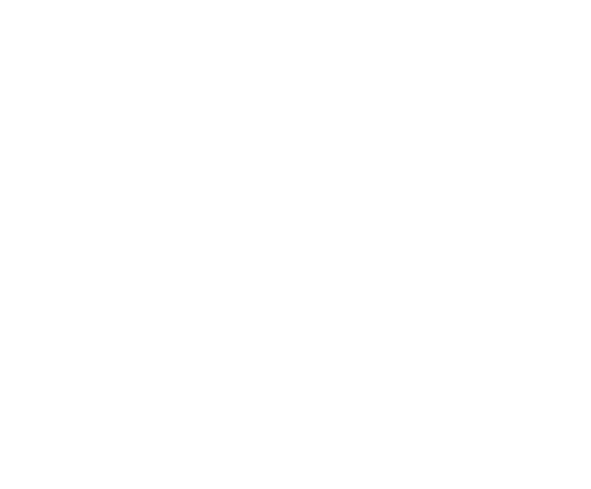Real Seguros